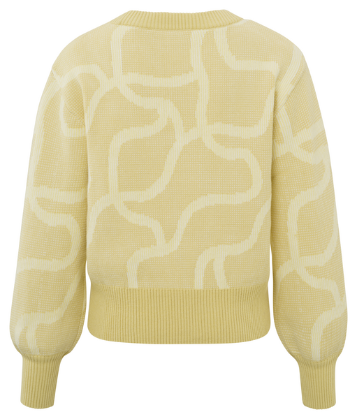 Jacquard sweater - parsnip yellow dessin